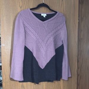 Style & Co. Purple and Black V-Neck Sweater with Textured Knit